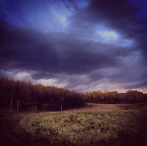 A fall storm blows in