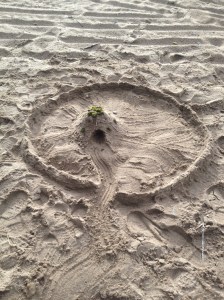 Circle in the sand